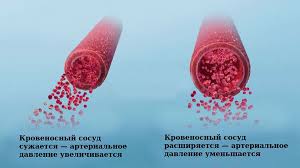 Психосоматика Артериальной гипотензии