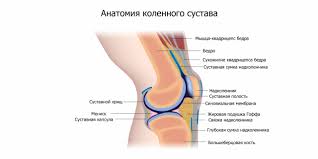 Психосоматика Болезни Гоффа