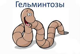 Психосоматика гельминтозов