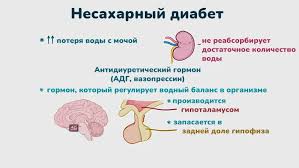 Психосоматика Несахарный диабет