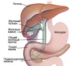Психосоматика желчнокаменной болезни